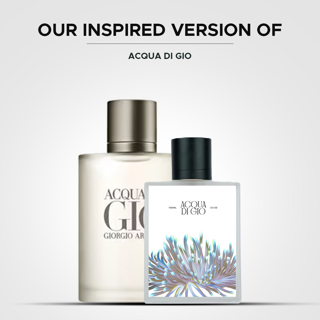 THE BEST SELLERS (Pack Of 4)